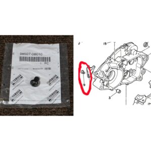 Blaster OEM Crank Bearing Retainer Screw