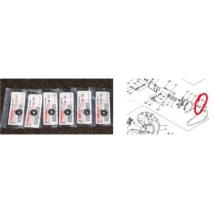 OEM Blaster/Banshee/Warrior Sprocket Hub Nuts